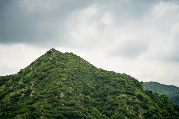 What Will Happen If the Aravalli Hills Are Destroyed